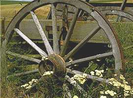 wheel.jpg (13436 bytes)