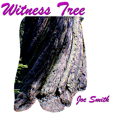 Witness Tree graphic